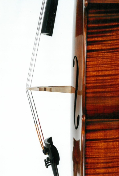 Cello detail